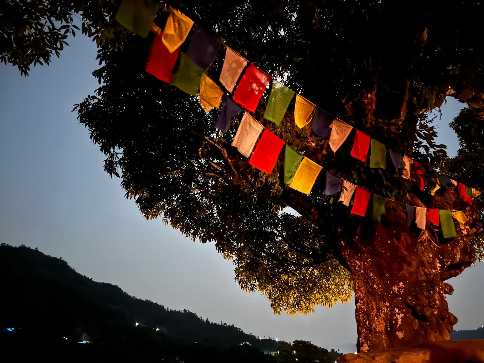 Nepal Yoga Meditation Retreat