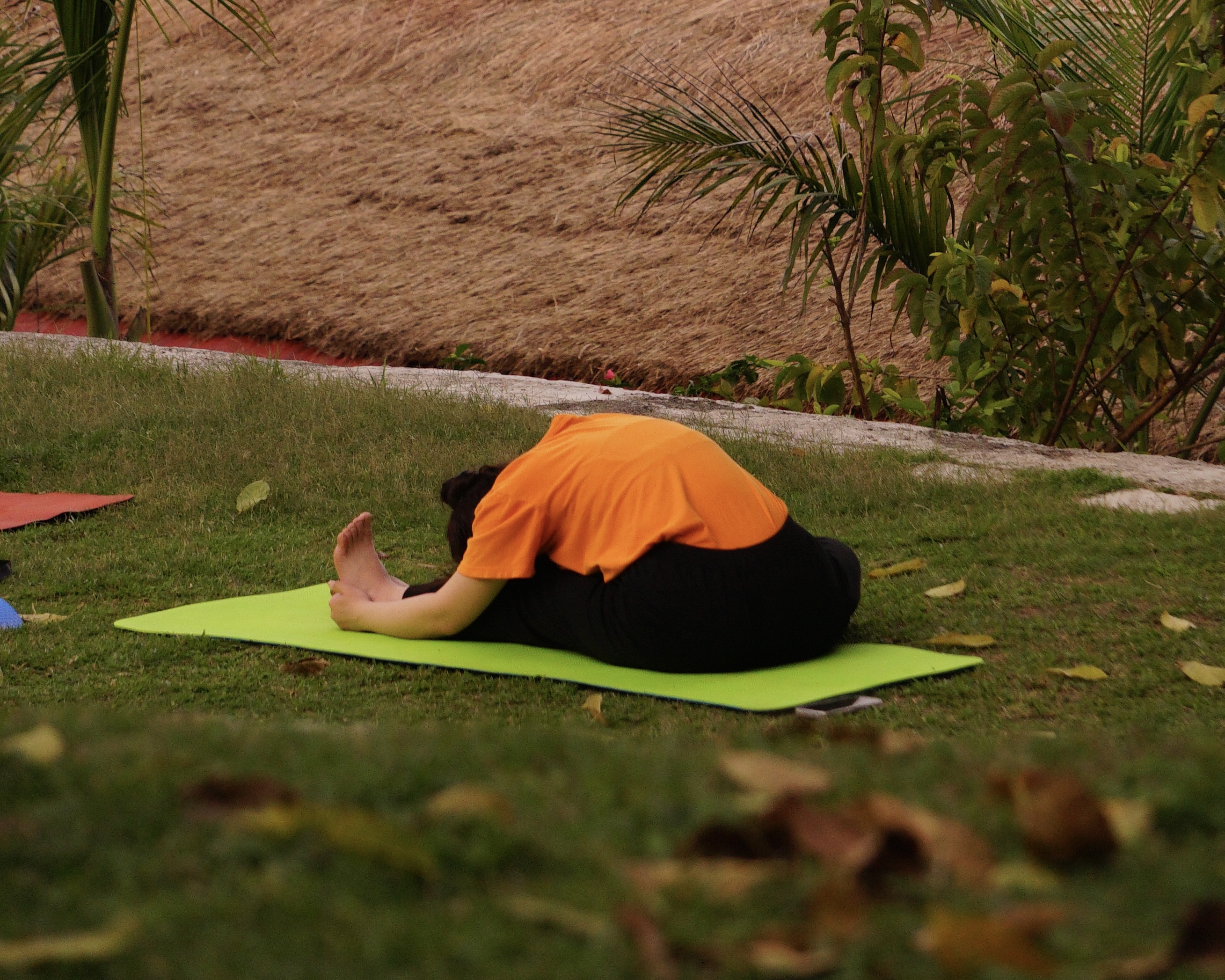 50hr Yin Yoga Teacher Training Course