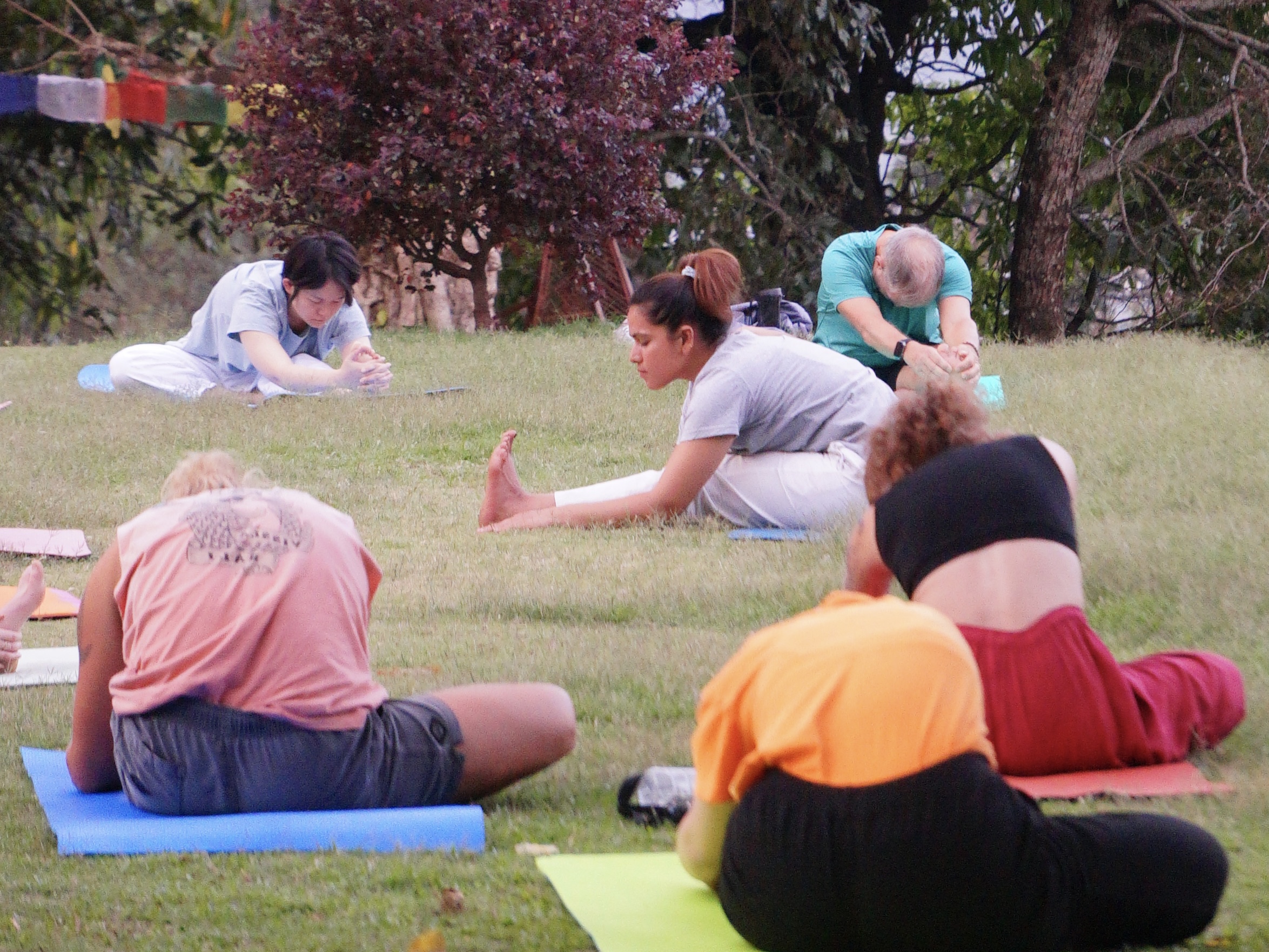 50hr Yin Yoga Teacher Training Course