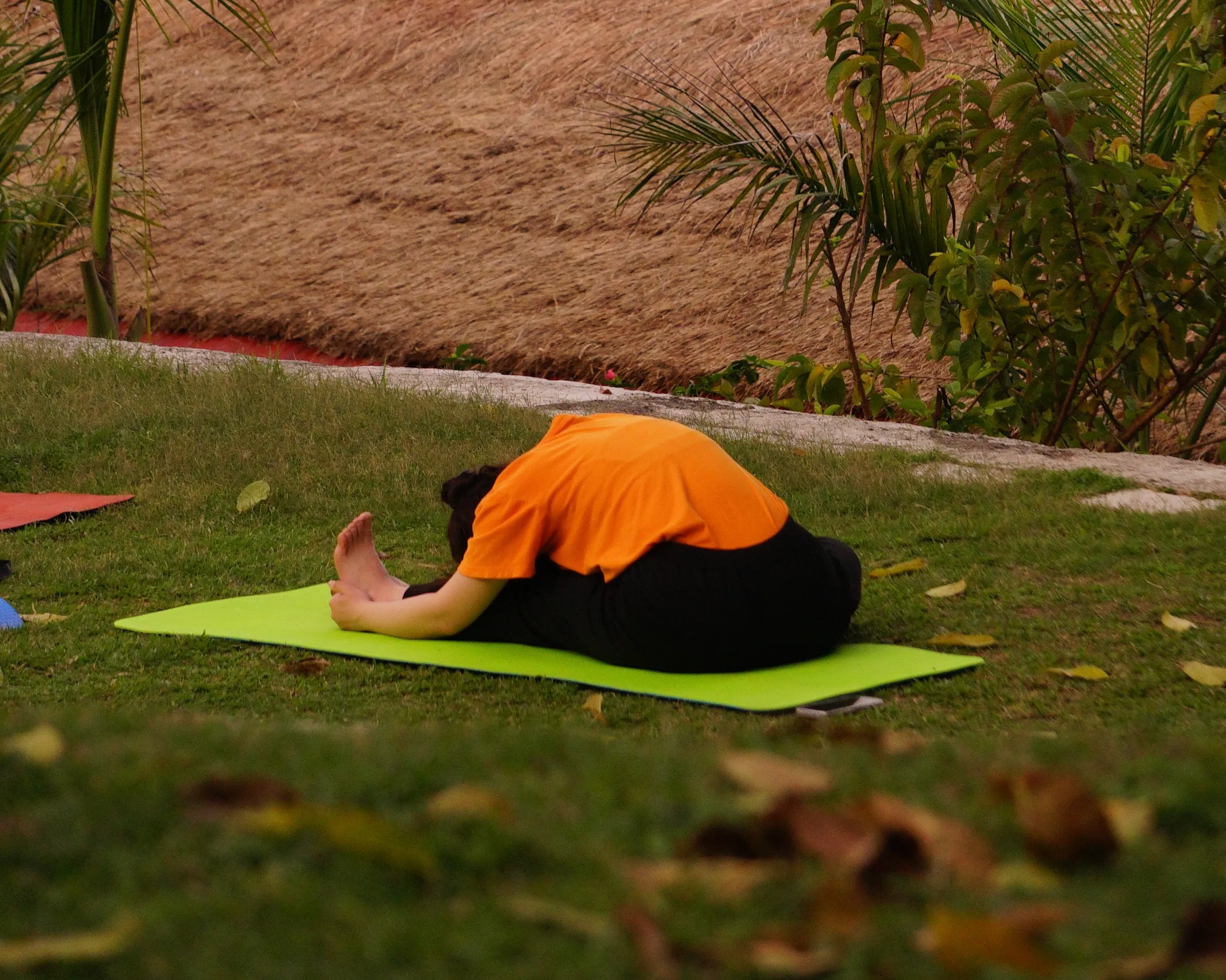 Yin Yoga